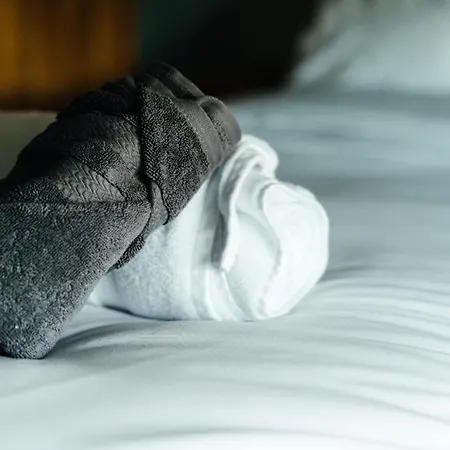 Rigney Bank House, South Lakes Luxury Milnthorpe